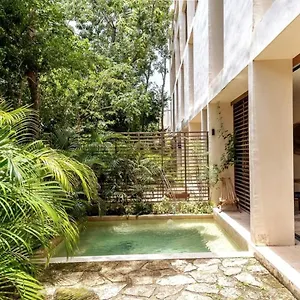 https://well-equipped-condo-with-pool-in-aldea-zama.tulum-hotels.net